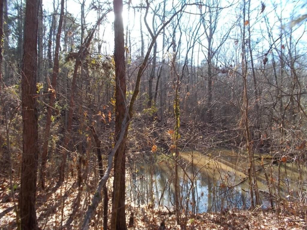 414 Doane Rd, New Market, TN 37820